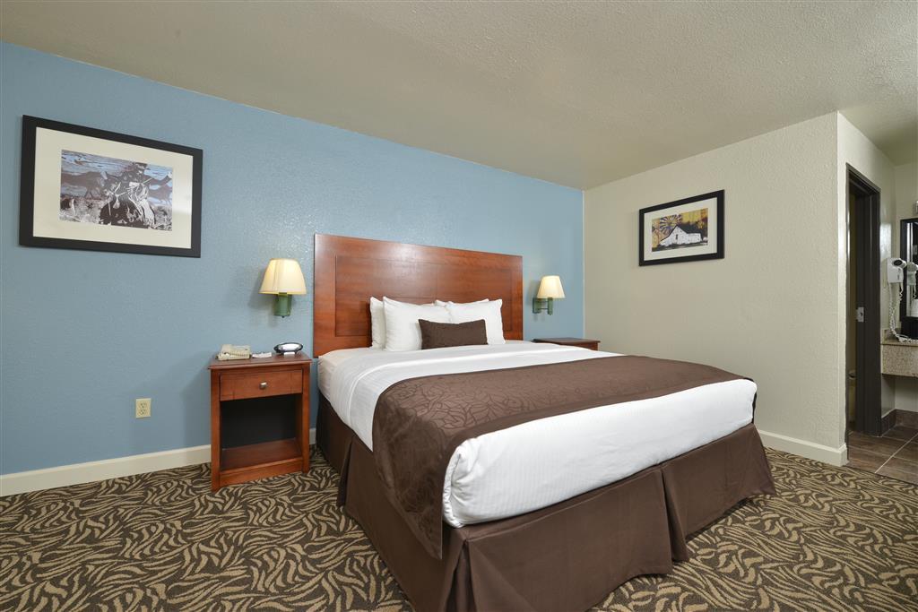 Best Western Regency Inn & Suites Gonzales Værelse billede